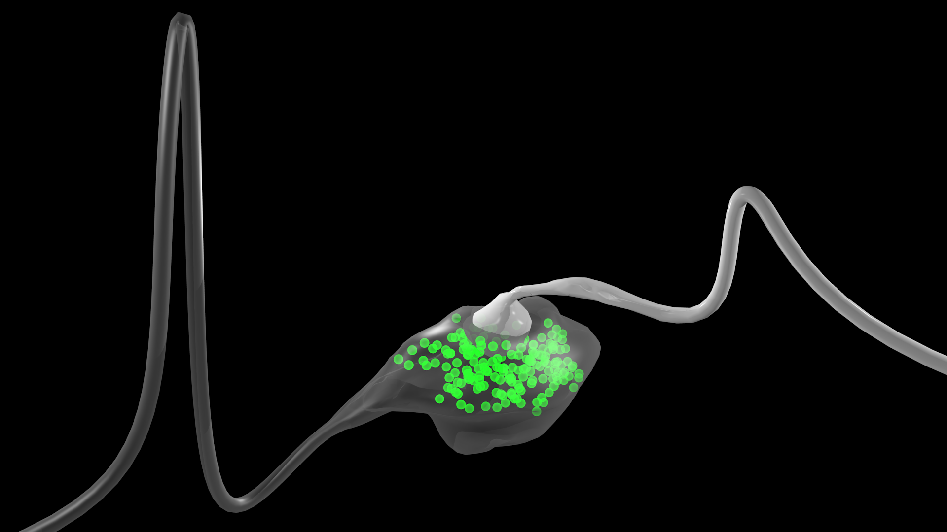 The relation between structure and function at single synapses in the ...