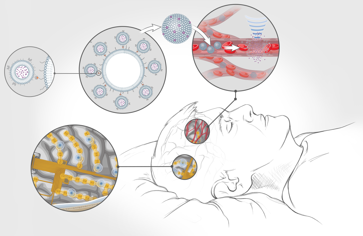 ini-institute-of-neuroinformatics-paid-positions